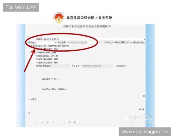 色碟开户下载官网下载安装流程，详细步骤帮助新手快速入门