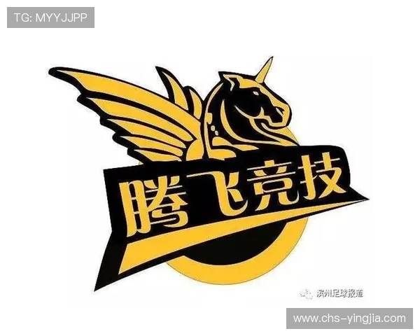 百盈体育打造专业化体育赛事运营管理体系赢得市场认可 百盈体育打造专业化体育赛事运营管理体系赢得市场认可