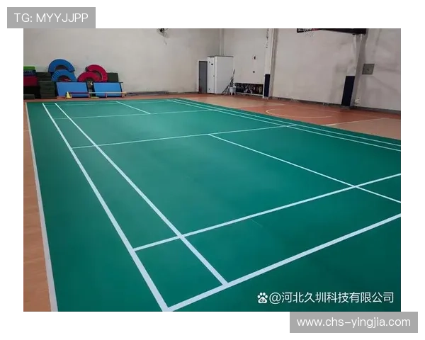 定兴辰星体育中心全面介绍与最新设施详解，助你选择理想运动场所